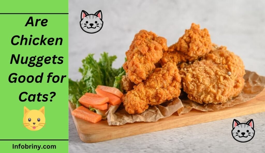 Are Chicken Nuggets Good for Cats