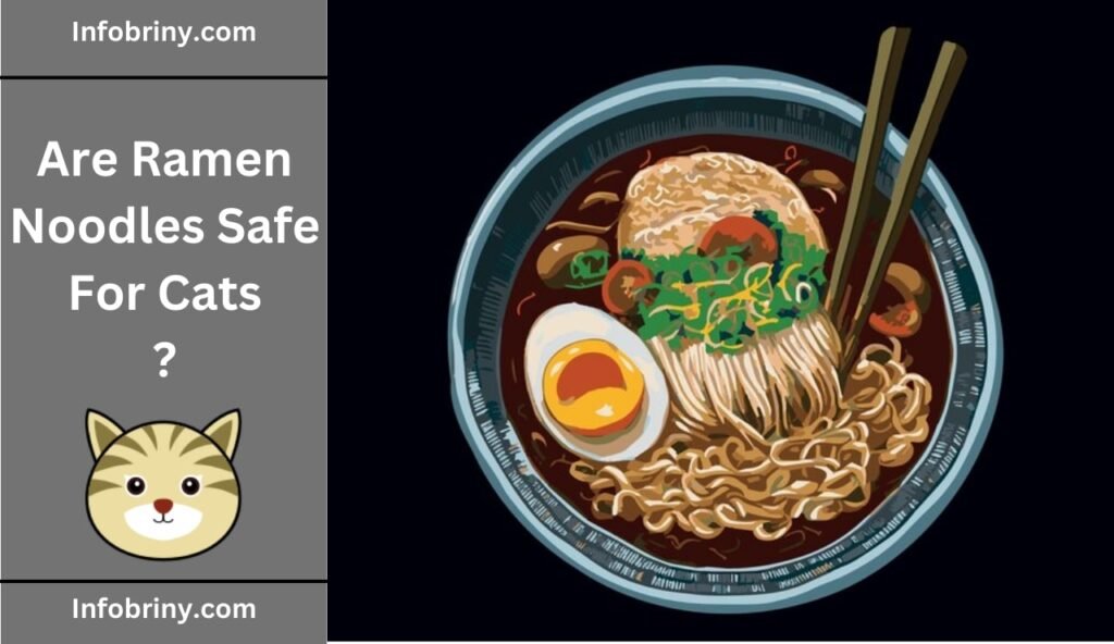 Are Ramen Noodles Safe For Cats

